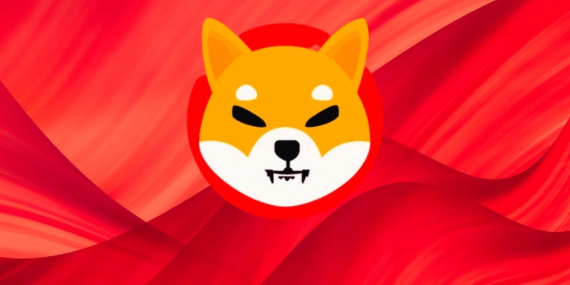 Shiba coin yorum: Shiba coin kaç TL?